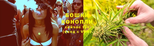 гидра Горнозаводск