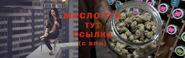 гидра Горнозаводск