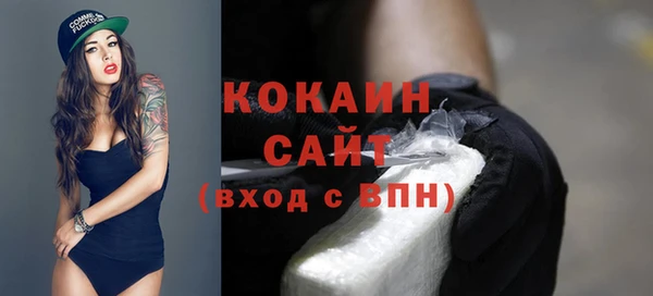 гидра Горнозаводск