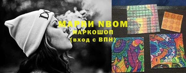 гидра Горнозаводск