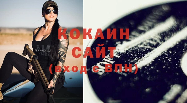 гидра Горнозаводск