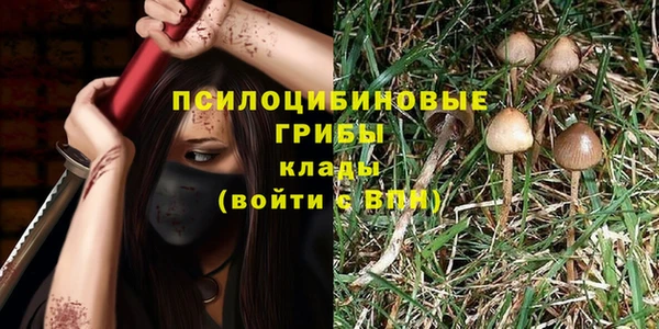 гидра Горнозаводск