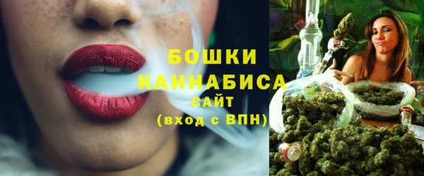 гидра Горнозаводск