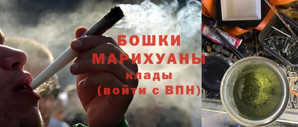 гидра Горнозаводск